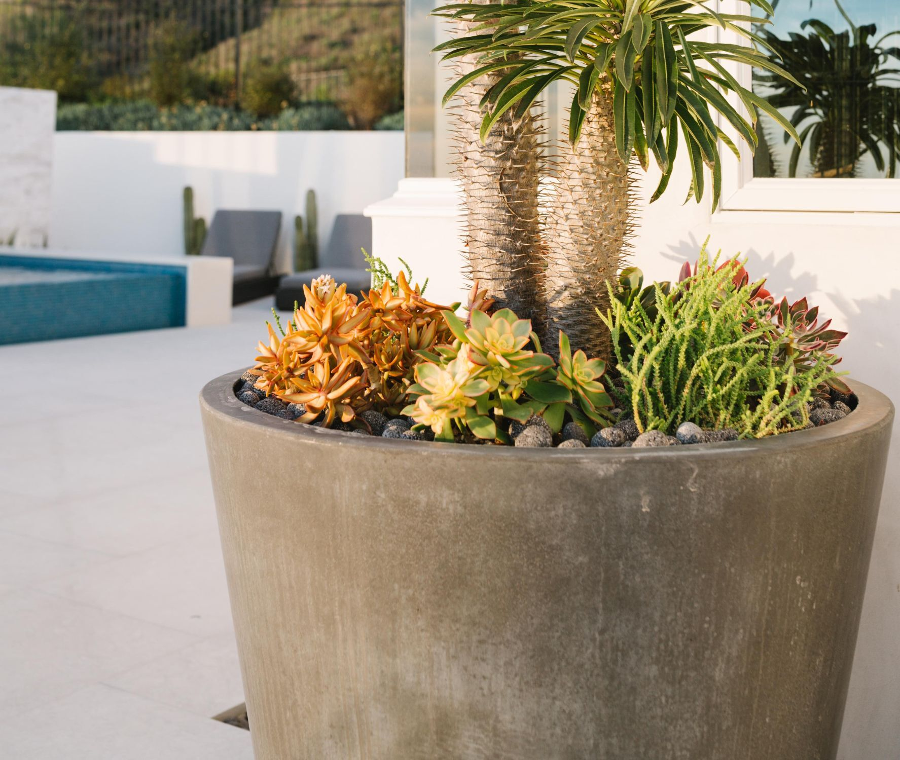 Elevating Community Spaces With Innovative Planter Designs