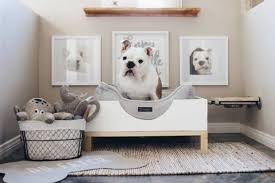 Designing with Pets in Mind: Furniture That Works for Everyone
